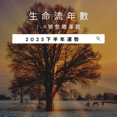 2023流年運勢免費算|2023生命流年數看整體運勢，找到年度幸運方向（含。